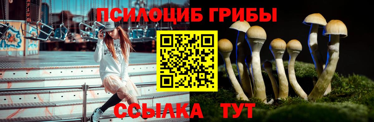Псилоцибиновые грибы MAGIC MUSHROOMS Мыски