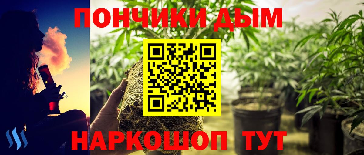 Канабис MAZAR Мыски